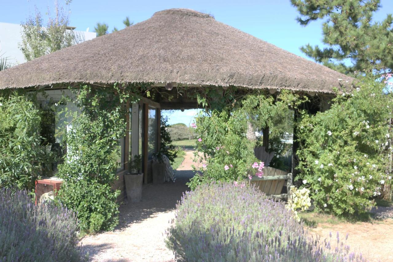 ホテル Casa Suaya ホセ・イグナシオ エクステリア 写真